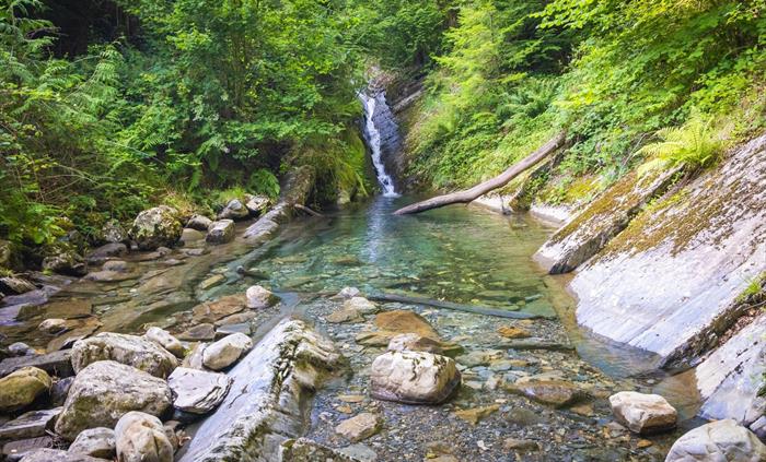Waterfall at Tan y Coed, Dyfi Forest